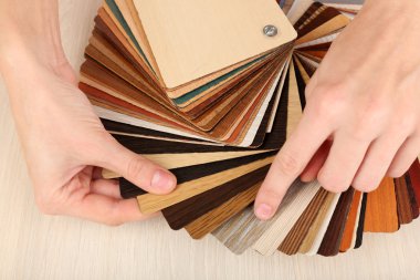 mobilya için renk paleti