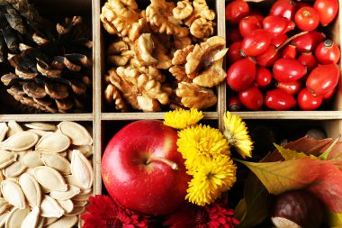 Dekoratif ahşap kutusunda sonbahar kompozisyon