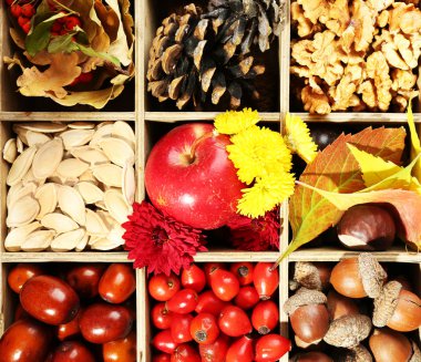 Dekoratif ahşap kutusunda sonbahar kompozisyon