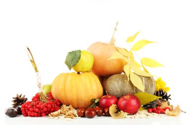 beyaz izole güzel sonbahar kompozisyon