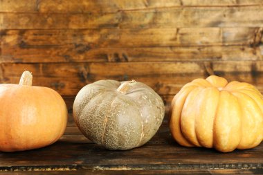 Olgun farklı kabaklar