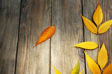 Ahşap arka planda sonbahar yaprakları