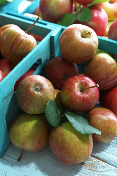 Juicy apples in box, close-up — Stock Photo, Image