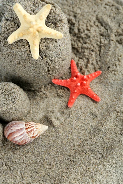 Sandcastle with starfishes on beach — Stock Photo, Image