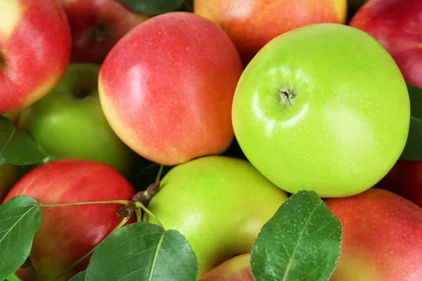 Reife Äpfel aus nächster Nähe — Stockfoto