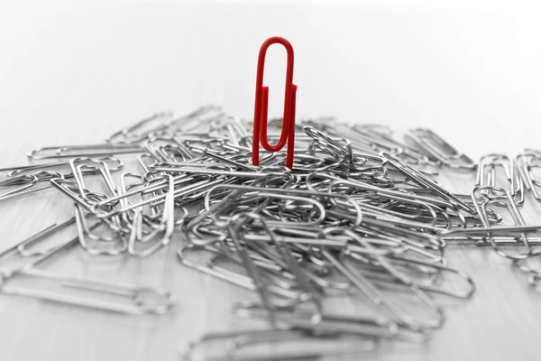 Individualiteit concept. Paperclips close-up — Stockfoto