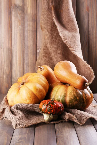 Calabazas sobre tela de saco —  Fotos de Stock