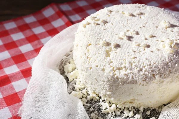 Cottage cheese on gauze — Stock Photo, Image