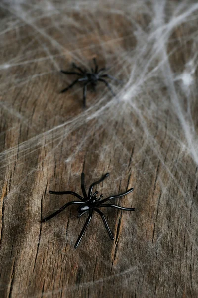 Spindelnät med svarta spindlar — Stockfoto