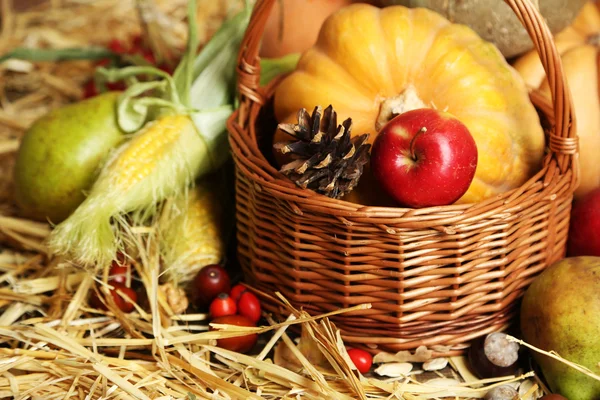 Herbstliche Komposition — Stockfoto