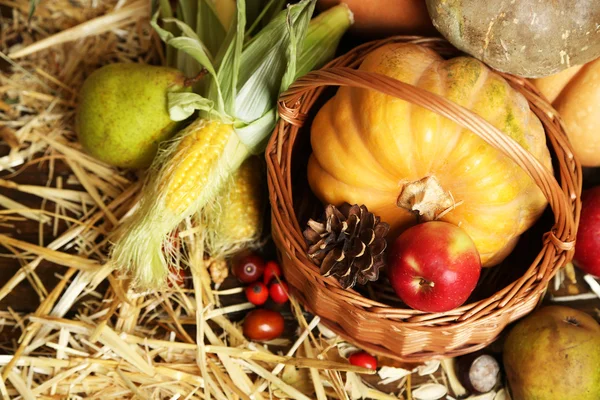 Herbstliche Komposition — Stockfoto