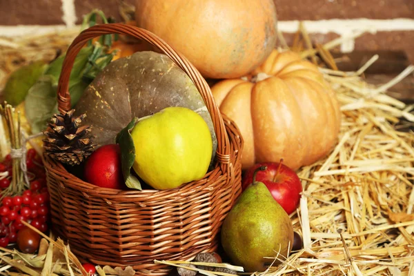 Herbstliche Komposition — Stockfoto