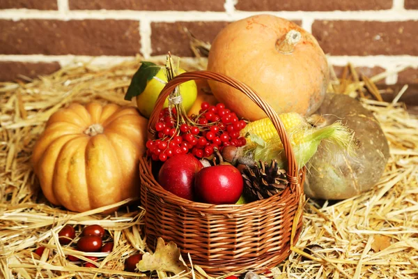 Herbstliche Komposition — Stockfoto