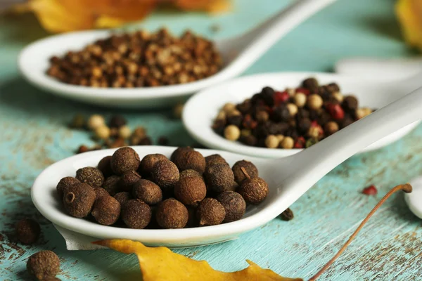 Different spices in spoons with yellow leaves — Stock Photo, Image