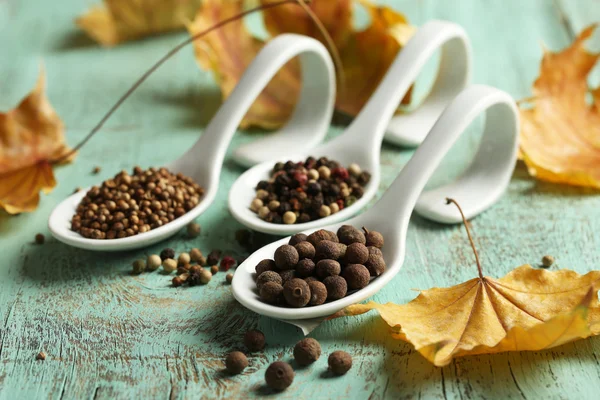 Different spices in spoons with yellow leaves — Stock Photo, Image