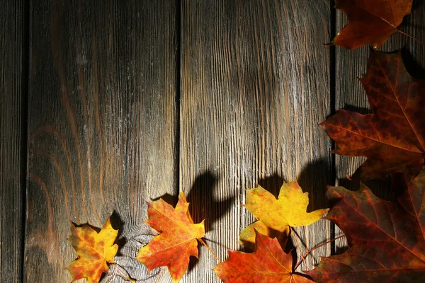 Autumn leaves on wooden background — Stock Photo, Image