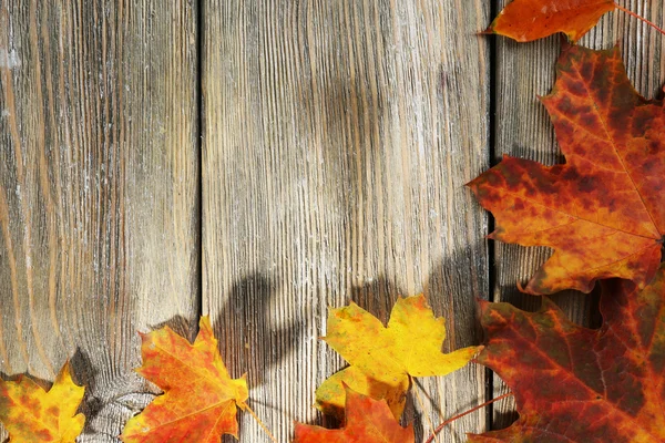 Feuilles d'automne sur fond en bois — Photo