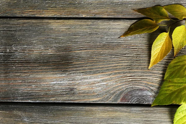 Autumn leaves on wooden background — Stock Photo, Image