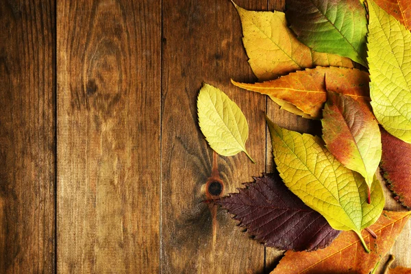 Hojas de otoño sobre fondo de madera — Foto de Stock