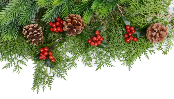 从枞树和槲寄生的圣诞边框 — 图库照片