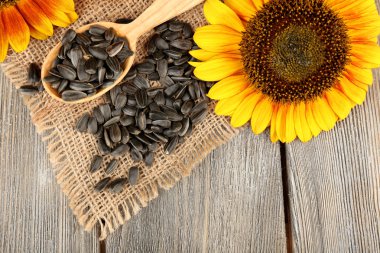 Ayçiçeği ve kaşıkla tohumlar