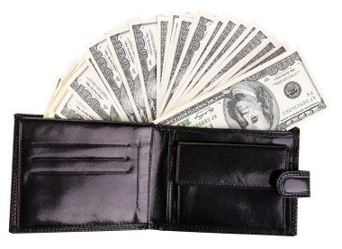 yüz dolarlık banknotlar ile çanta