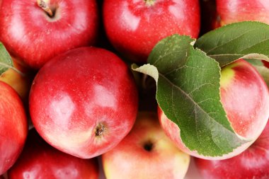 Olgun Kırmızı Elmalar