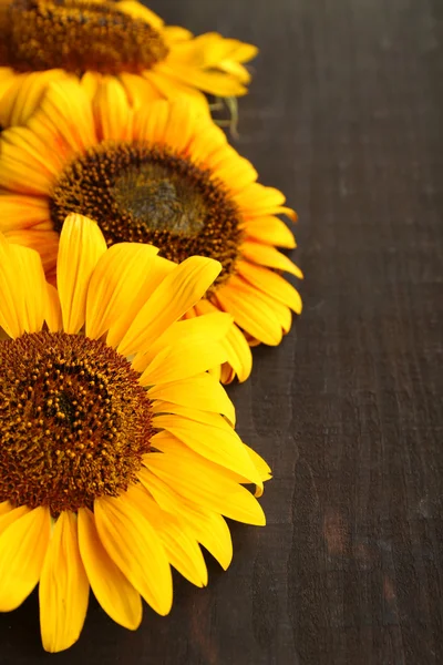 Hermosos girasoles sobre fondo de madera — Foto de Stock