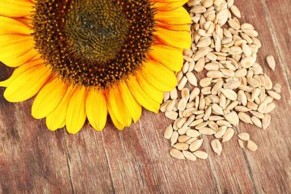 Sunflowers and peeled seeds — Stock Photo, Image