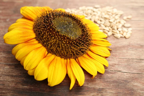 Sunflowers and peeled seeds — Stock Photo, Image