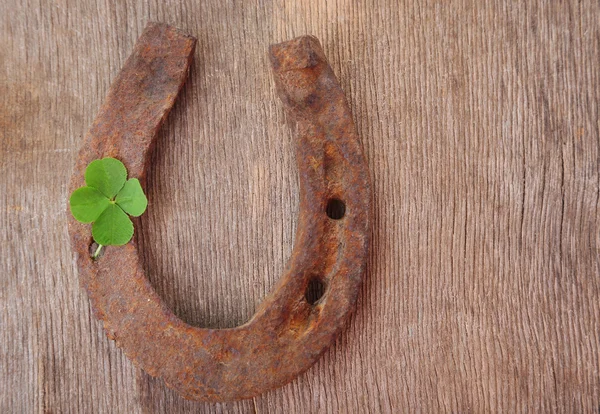 Old horse shoe — Stock Photo, Image