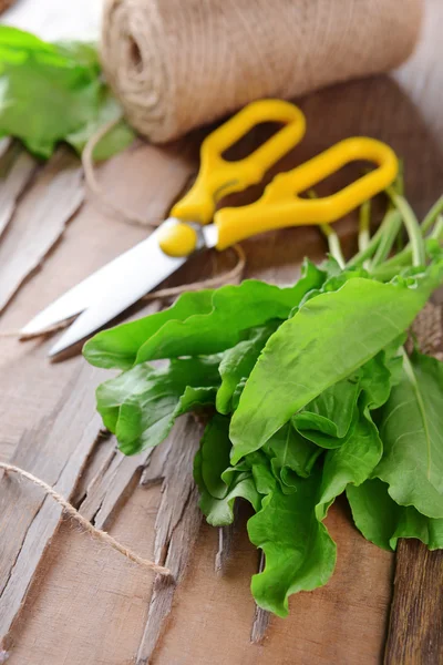 Sorrel on table — Stock Photo, Image