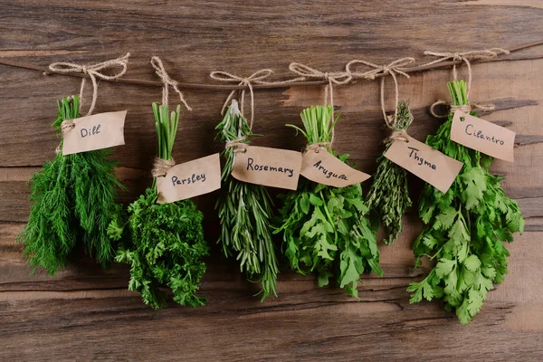 Different fresh herbs — Stock Photo, Image