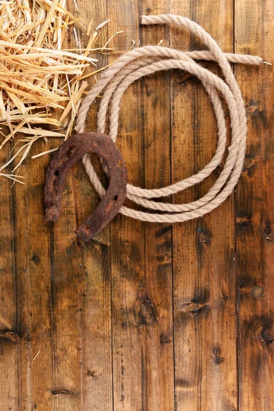 Altes Hufeisen und Cowboy-Lasso — Stockfoto