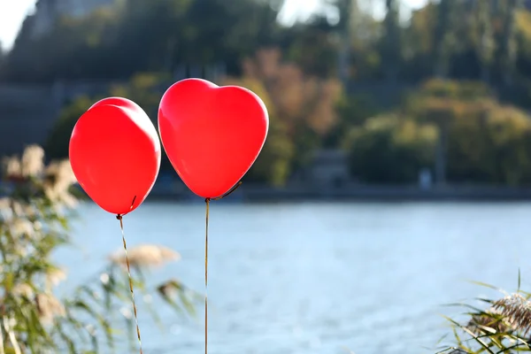 Amore cuore palloncini — Foto Stock