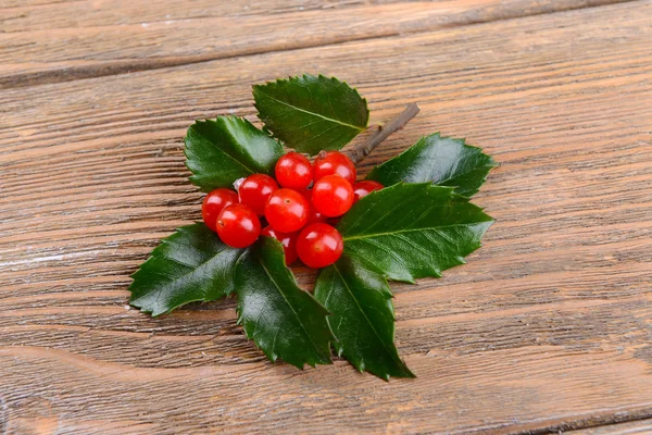 Foglie di vischio con bacche — Foto Stock