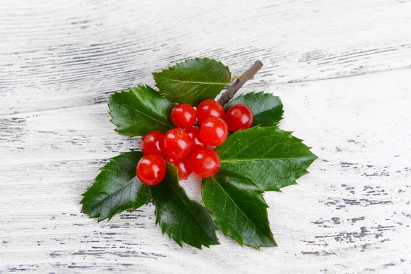 Leaves of mistletoe with berries — Stock Photo, Image