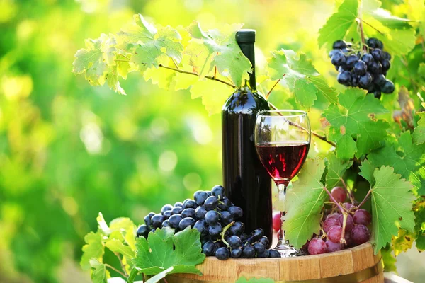 Ahşap varil lezzetli şarap — Stok fotoğraf