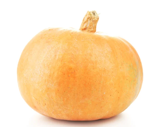 Calabaza madura sabrosa, aislada en blanco —  Fotos de Stock