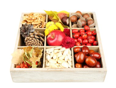 Ahşap kutusunda sonbahar kompozisyon