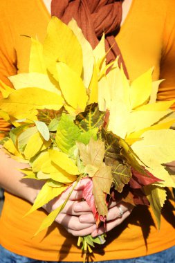 Sonbahar Yaprakları