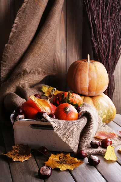 Citrouilles en boîte sur sac — Photo