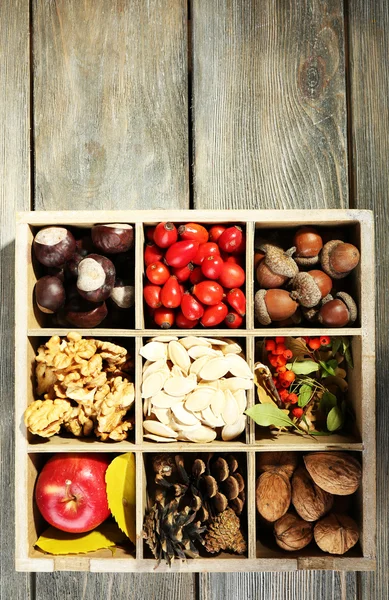 Composición otoñal en caja de madera — Foto de Stock