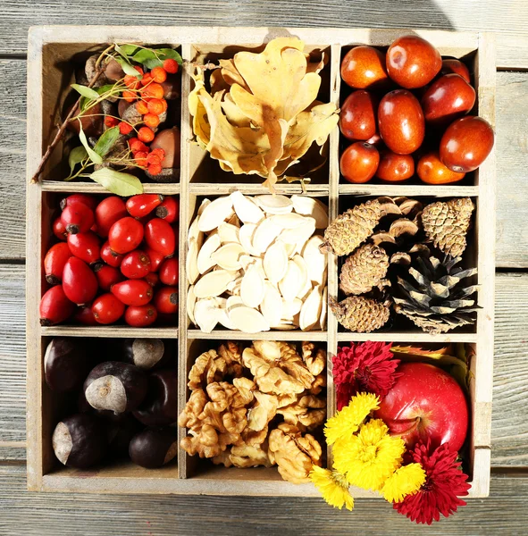 Autumn composition in wooden box — Stock Photo, Image