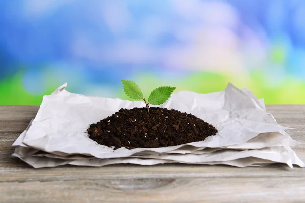 Plant growing from paper — Stock Photo, Image