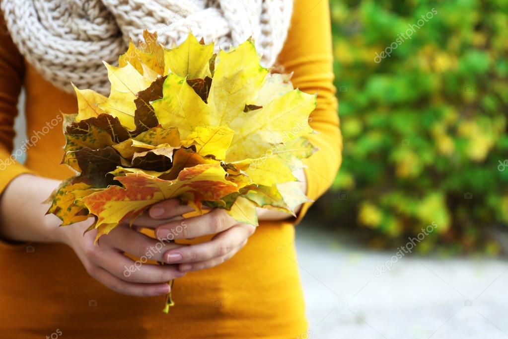 Beautiful autumn leaves in hands