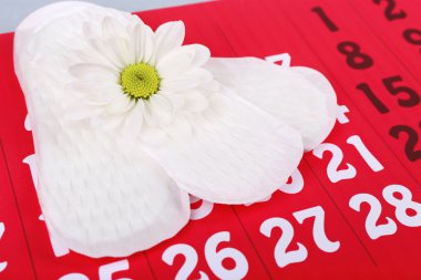 Hijyenik pedler ve gerbera