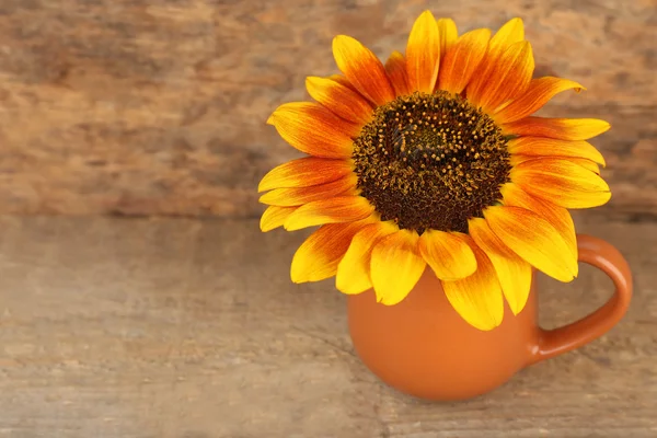 Piękne słonecznika w dzban na stole na drewniane tła — Zdjęcie stockowe