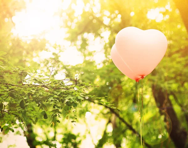 Amore cuore palloncini — Foto Stock