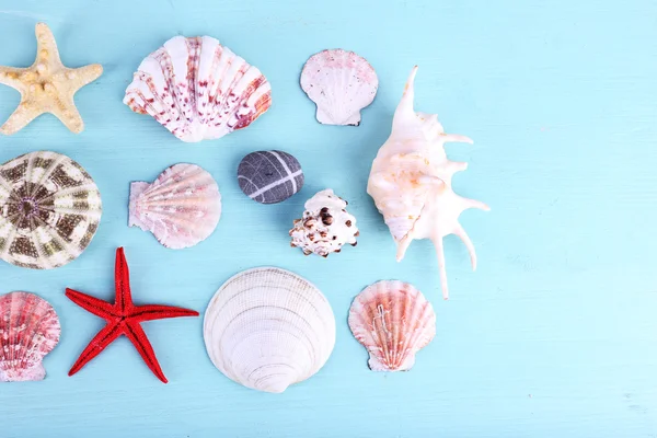 Natural Sea souvenirs — Stock Photo, Image